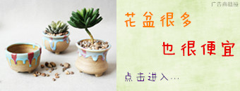 点击,购买花盆 技术分享