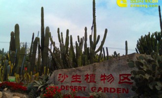 “森林性多肉植物展馆”厦门万石植物园春节首开