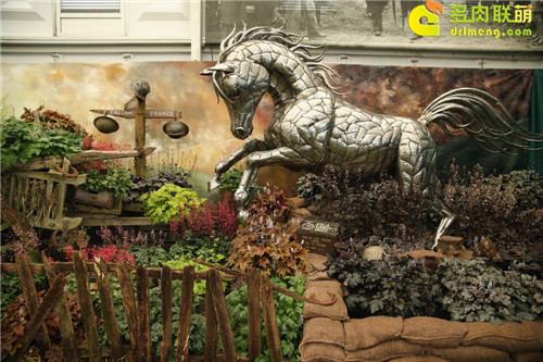 2014切尔西花卉展（Chelsea Garden Show）之12