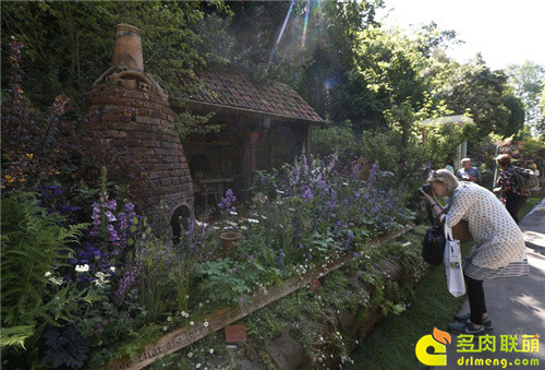 2014切尔西花卉展（Chelsea Garden Show）之16