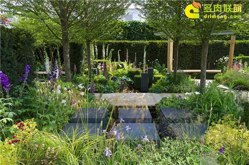 2014切尔西花卉展（Chelsea Garden Show）之18