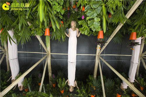 2014切尔西花卉展（Chelsea Garden Show）之8