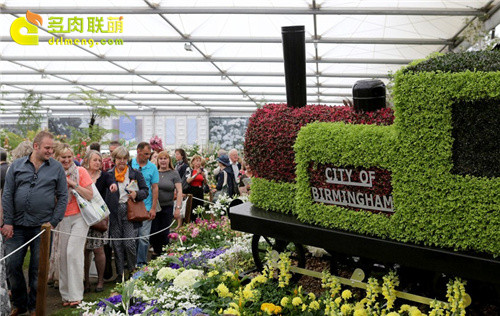 2014切尔西花卉展（Chelsea Garden Show）之9