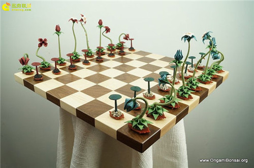 多肉植物与创意国际象棋-11