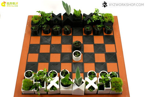 多肉植物与创意国际象棋-2