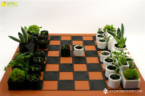 多肉植物与创意国际象棋-3