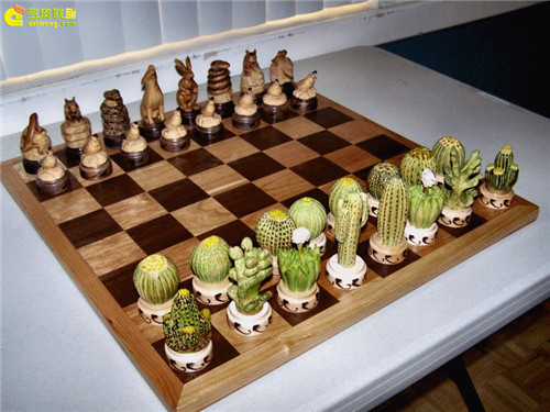 多肉植物与创意国际象棋-6