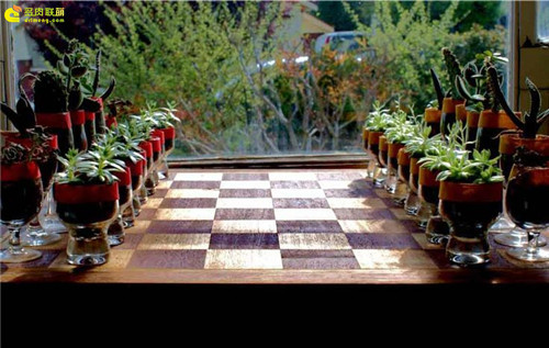多肉植物与创意国际象棋-7