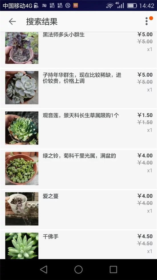 多肉植物的记录-1