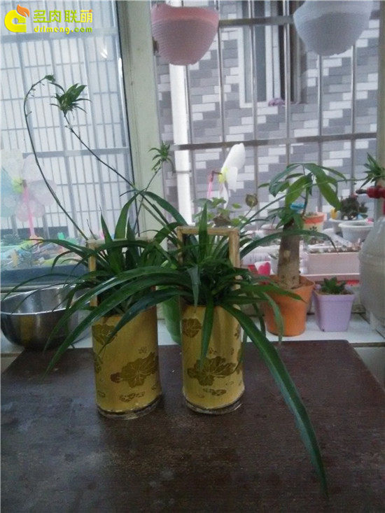 手工雕刻竹筒花盆制作教程-18