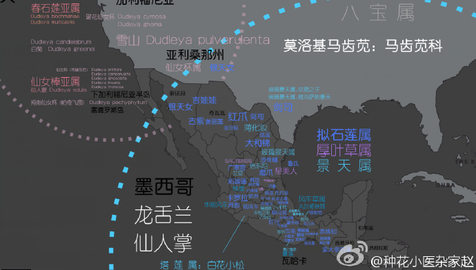 多肉植物世界分布地图-5