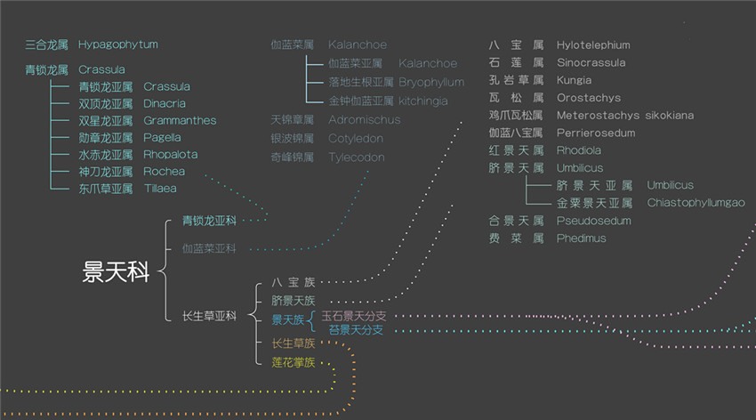 多肉植物世界分布地图-2