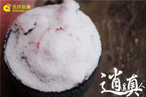 经历东北冰雪的多肉植物-7