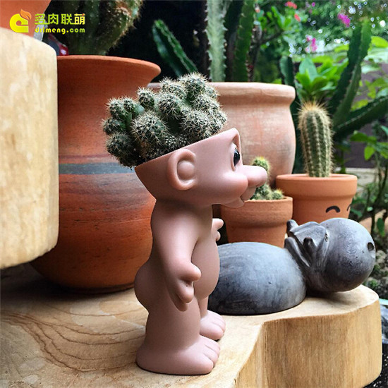 有趣的花盆和多肉-27