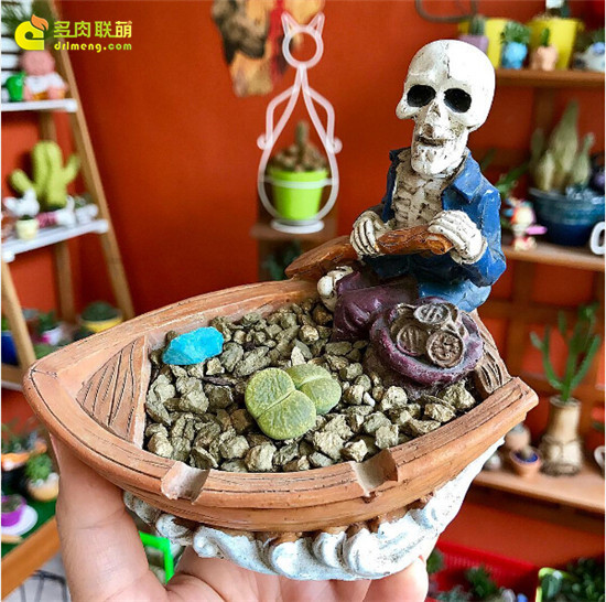有趣的花盆和多肉-7