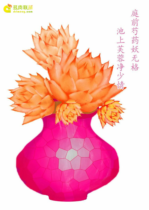 多肉的行为艺术-PS