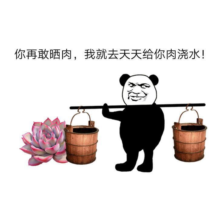 多肉植物表情包