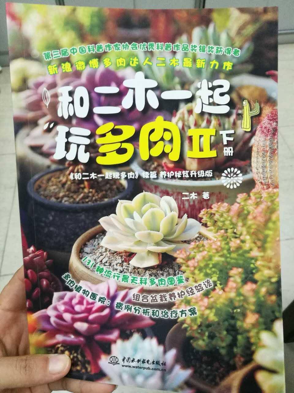 多肉迷妹养的多肉植物