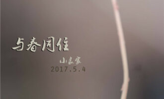 多肉的舒适生活（三）