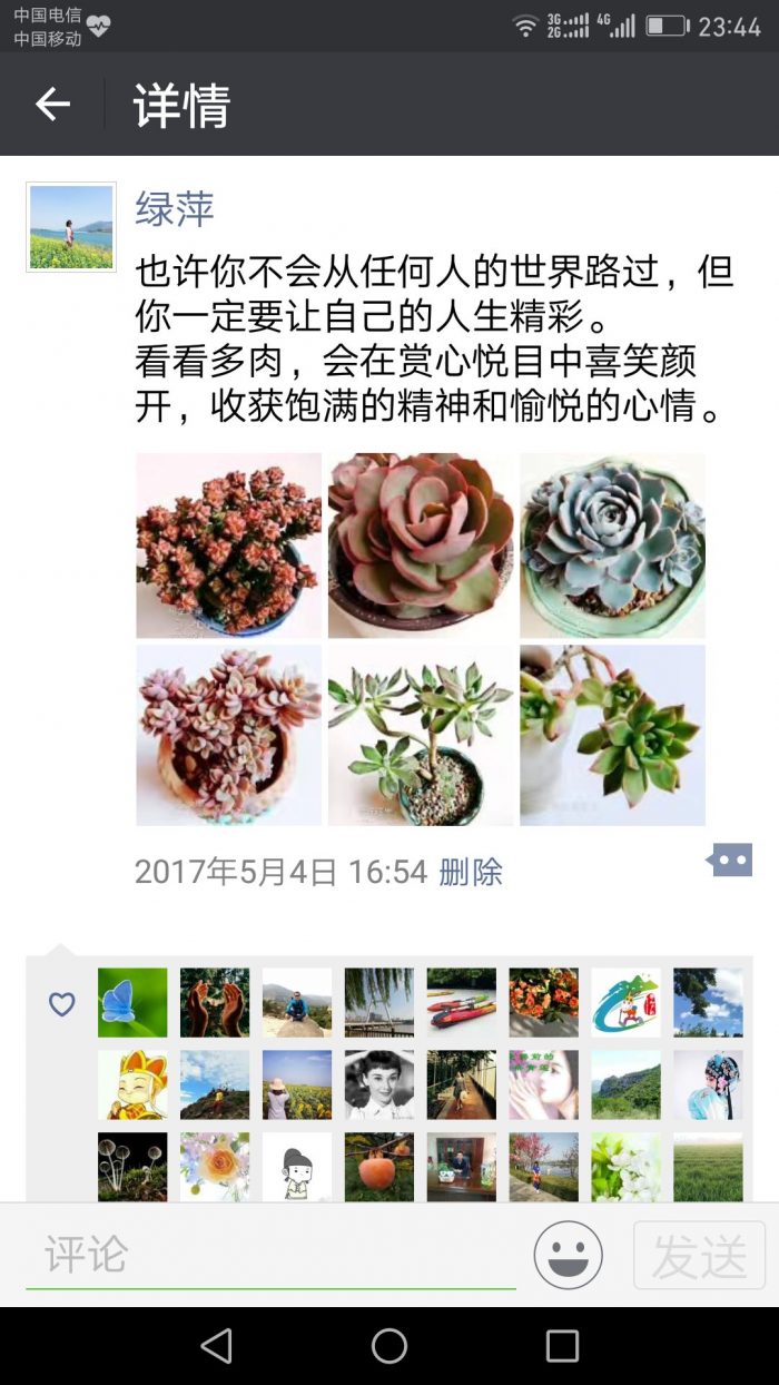 生活里都是多肉