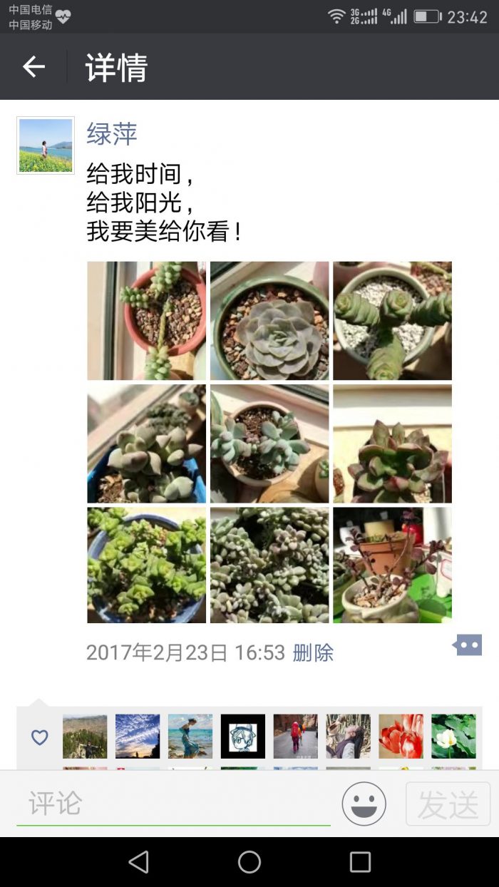 生活里都是多肉