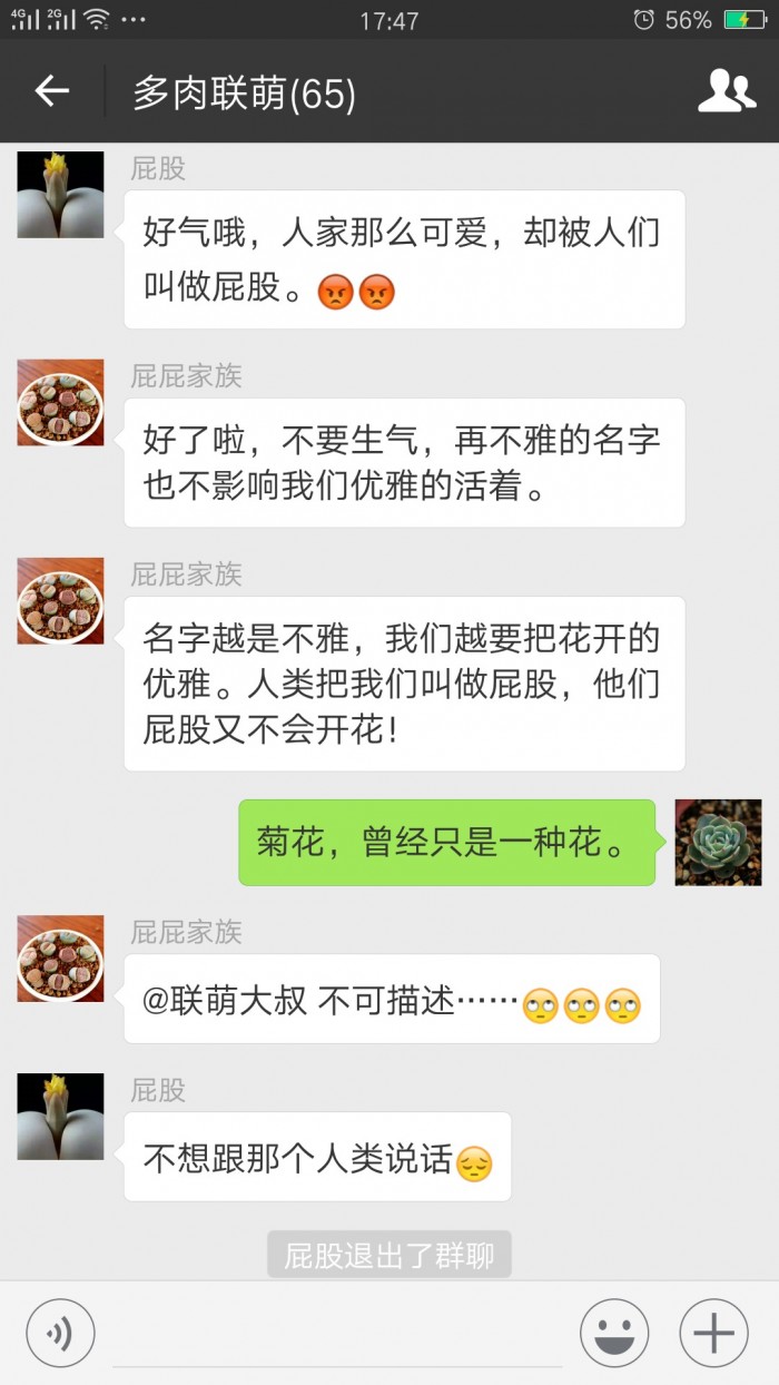 欢乐的多肉微信群