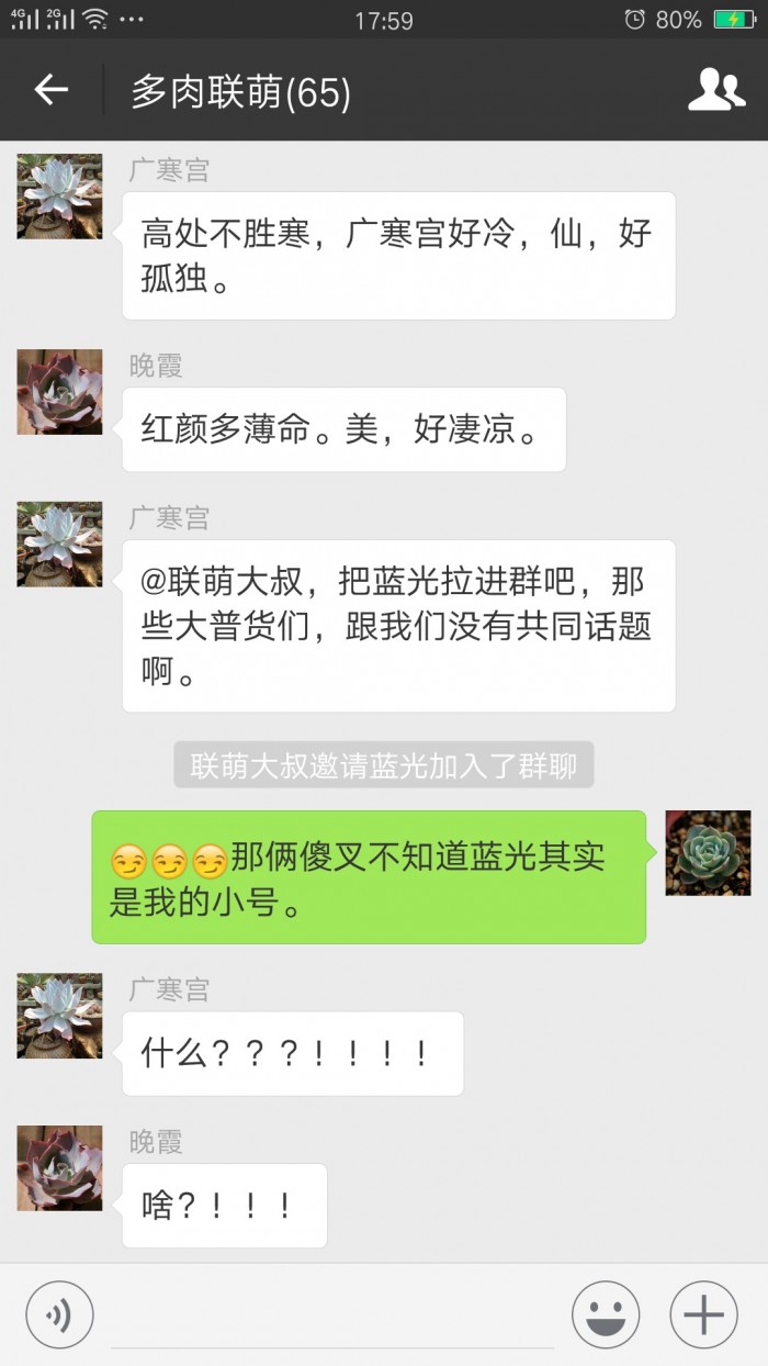 欢乐的多肉微信群