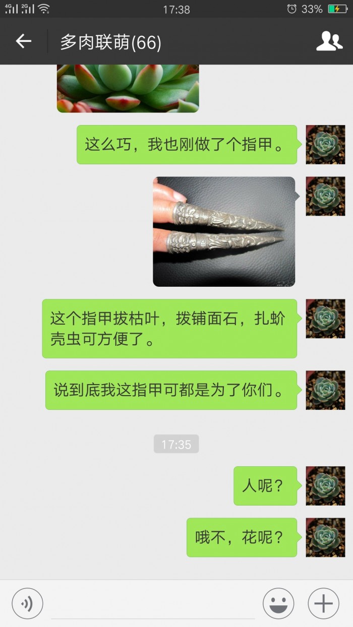 欢乐的多肉微信群