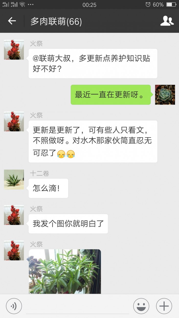 欢乐的多肉微信群