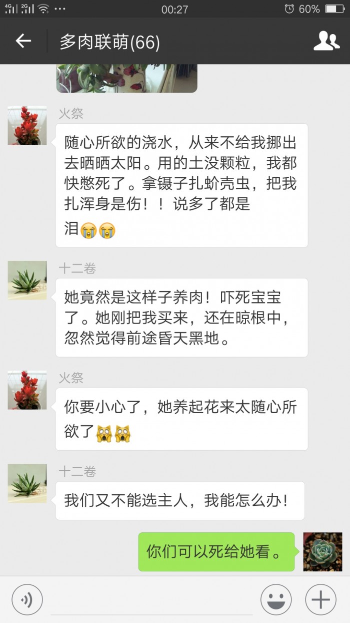 欢乐的多肉微信群