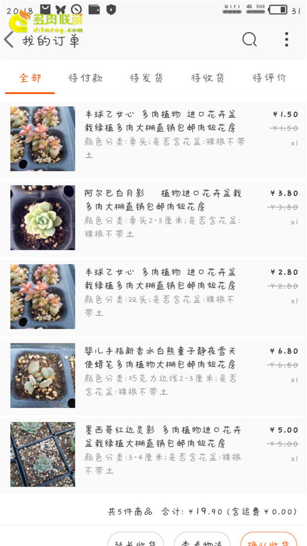 淘宝买多肉的订单