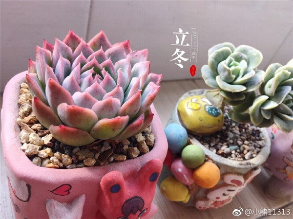 暮光之城