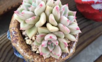 璀璨、绚丽璀璨