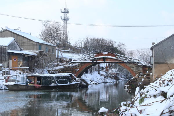 冬天下雪，不敢露养只能放阳台的南方多肉