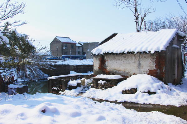 冬天下雪，不敢露养只能放阳台的南方多肉