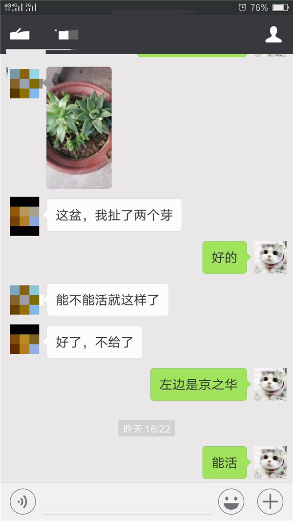 送别人的多肉