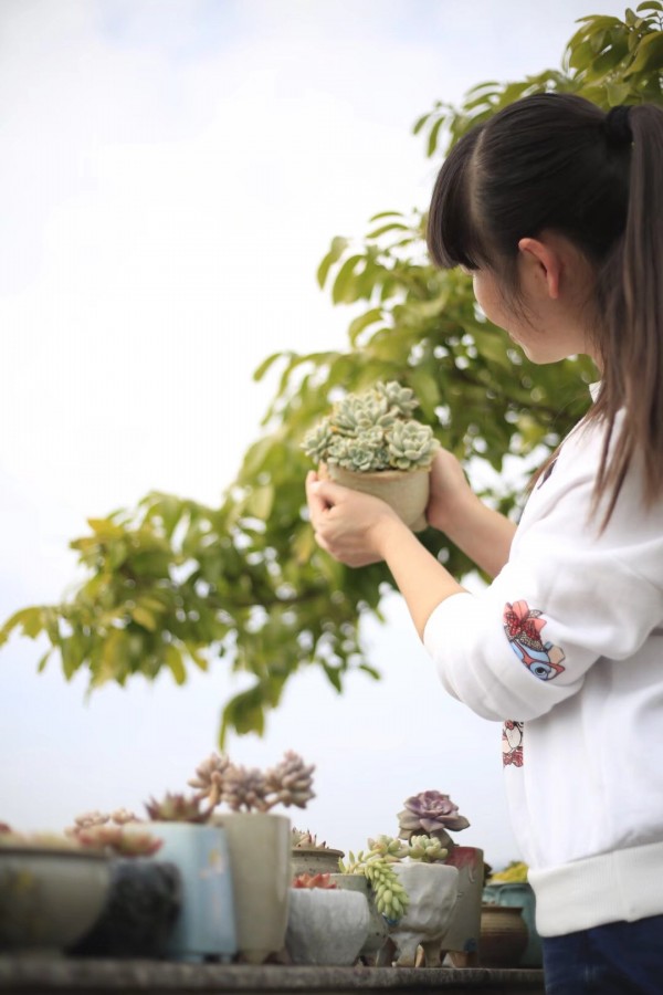 彩色的多肉，彩色的时节