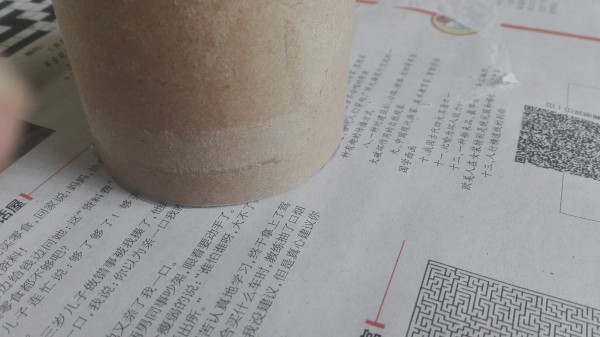 用纸筒做多肉花盆