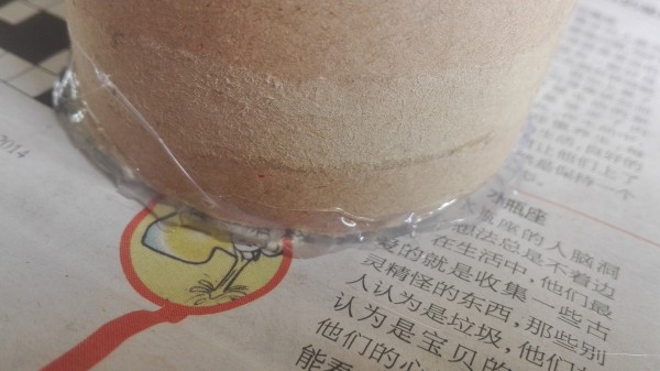 用纸筒做多肉花盆