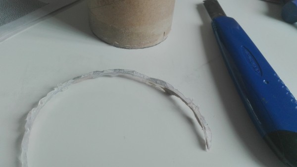 用纸筒做多肉花盆