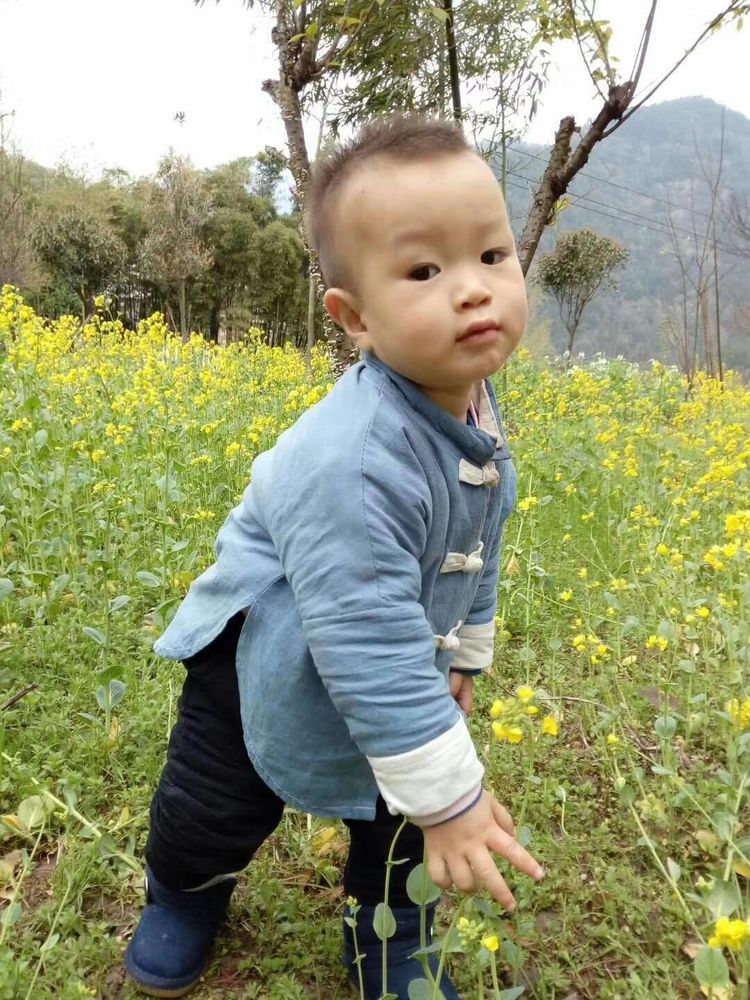 春天的多肉有多美