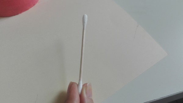 用纸筒做多肉花盆