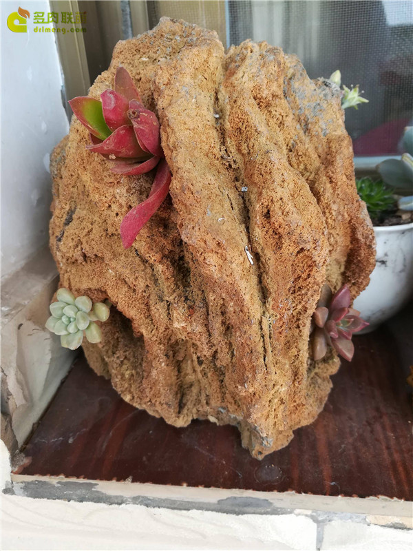 自制石头花盆