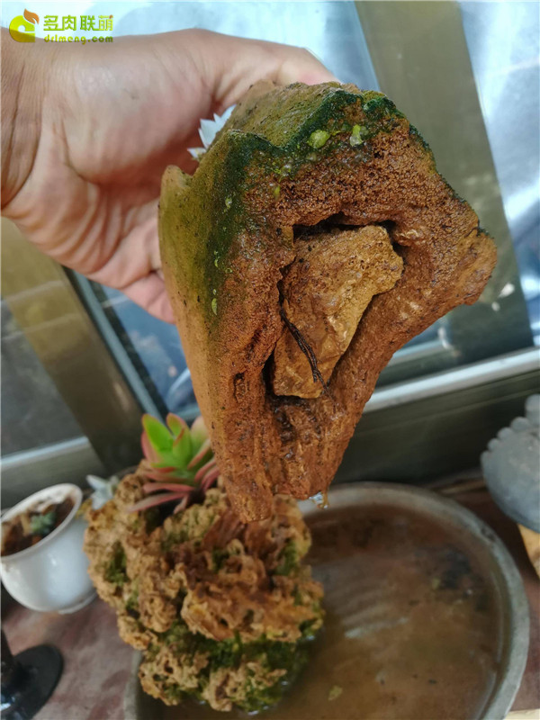 自制石头花盆