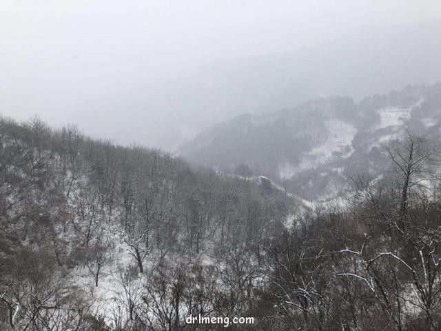 2018北京下了雪，那时的多肉