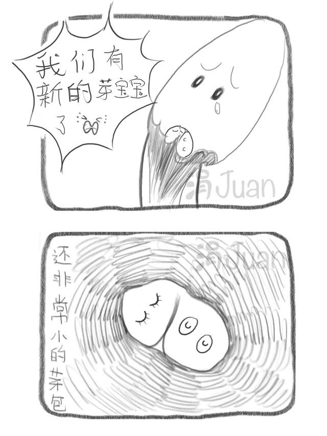 多肉漫画