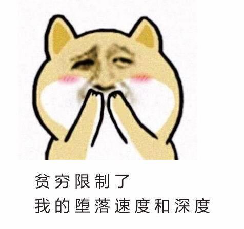 各种引人入坑的多肉
