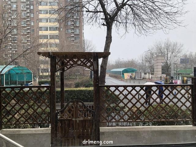 2018北京下了雪，那时的多肉