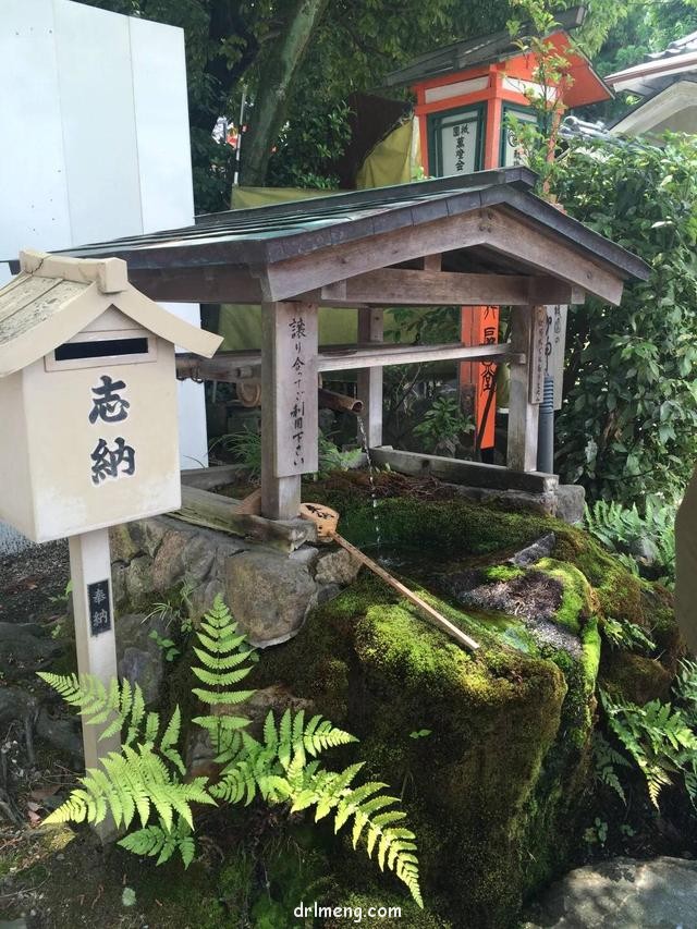 日本园艺造景和多肉植物