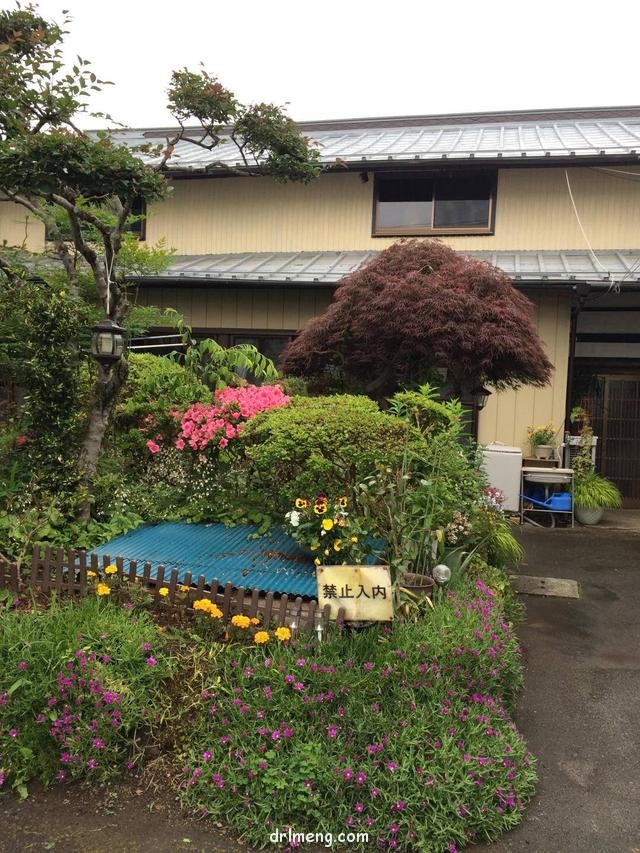 日本园艺造景和多肉植物